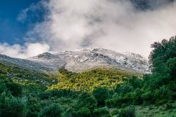 Berg mit Bäumen und Schnee